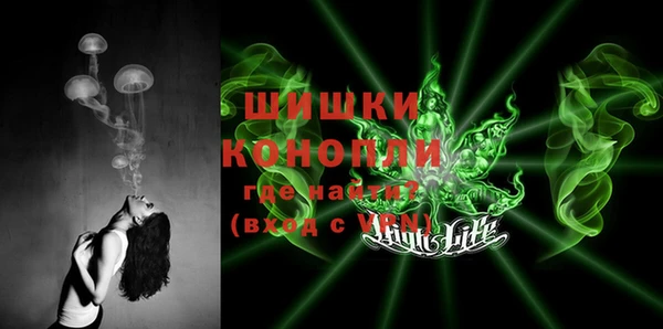 гидра Алексин