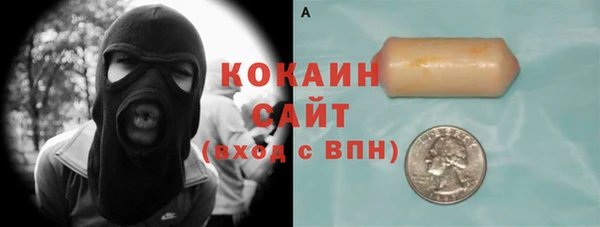 гидра Алексин