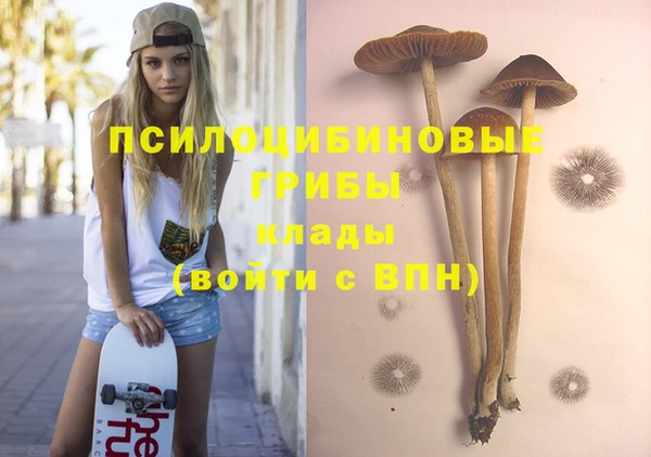спайс Алзамай