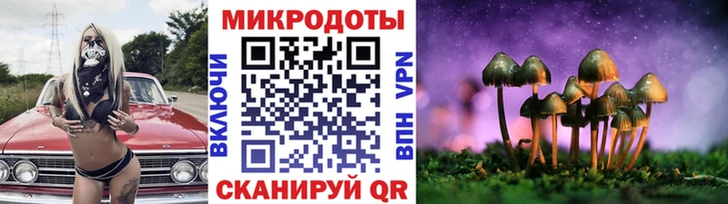 mega маркетплейс  Венёв  Псилоцибиновые грибы мицелий 